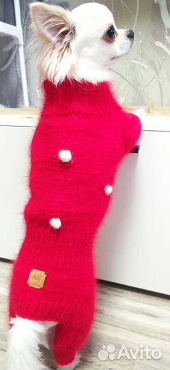 Вязаный комбинезон для собаки