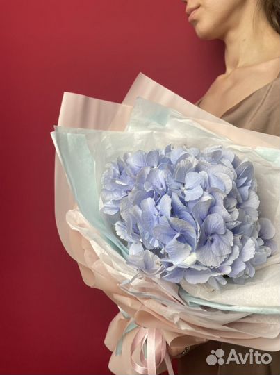 Букет «Моно из гортензии»