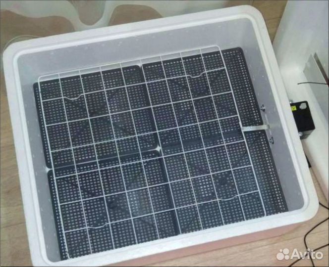 Инкубатор для яиц