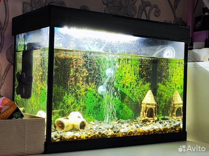 Аквариум