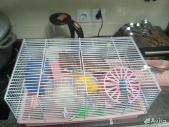 Клетка для грызунов и много аксессуары