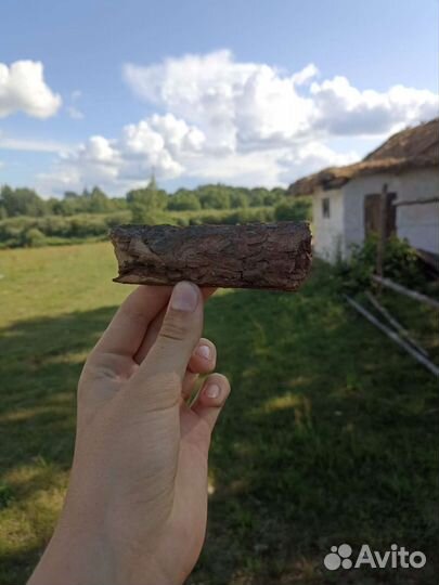 Кора дерева из кинодеревни