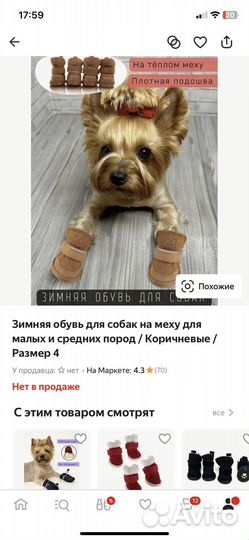 Обувь для собак