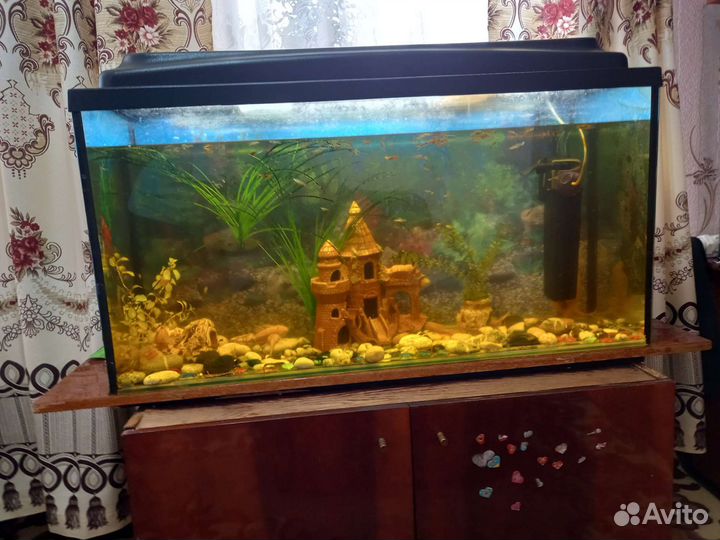 Аквариум