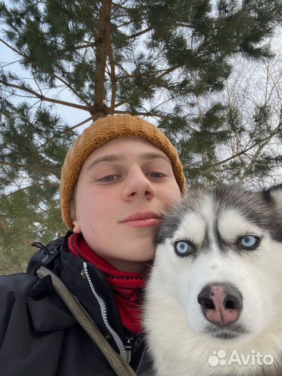 Репетитор по английскому языку (+Юридический язык)