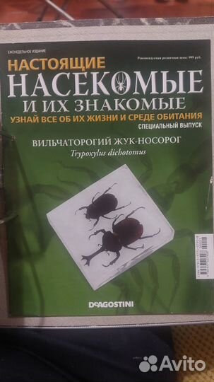 Настоящие насекомые и их знакомые.Полная коллекция