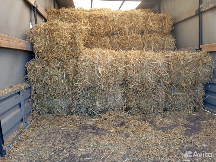 Солома рисовая