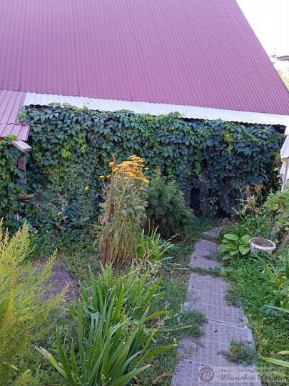 Дом 60 м² на участке 26 сот.