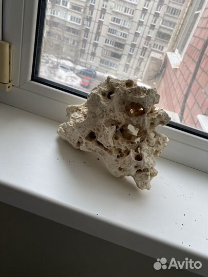 Коряги для аквариума