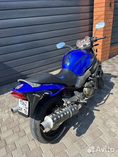 Honda X11