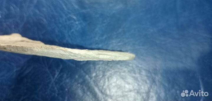 Окаменелый кузнечик