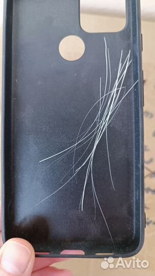 Кошачьи усы