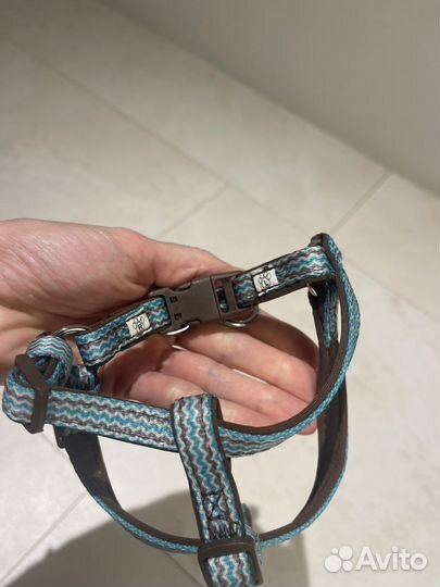 Шлейка XS Doog для мелких пород