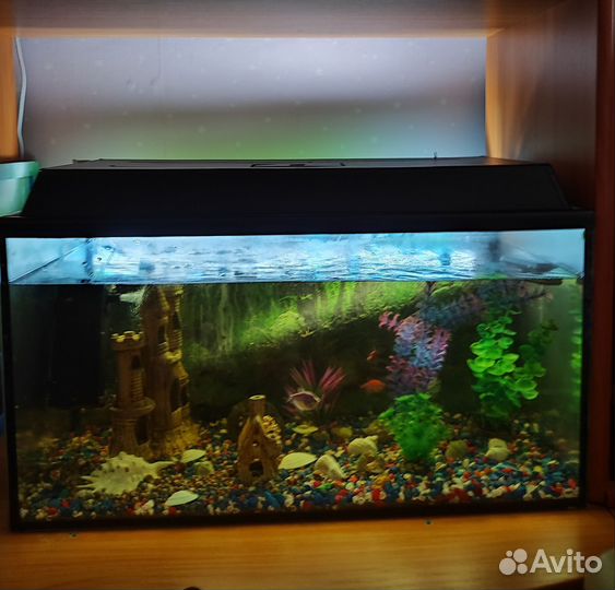 Аквариум