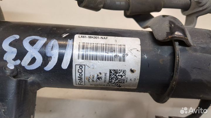 Амортизатор подвески Ford Escape 2015, 2017