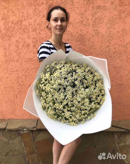 Цветы ромашки