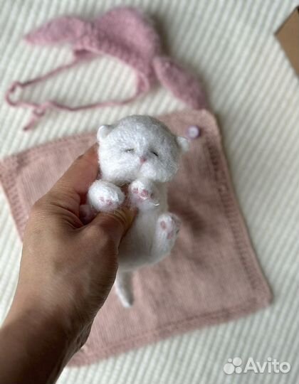 Спящий котенок