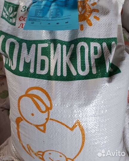 Куры молодки