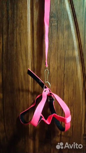 Новые товары для кошек