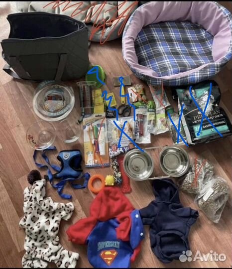 Шлейка синяя зеленая для собак лежанка поводок