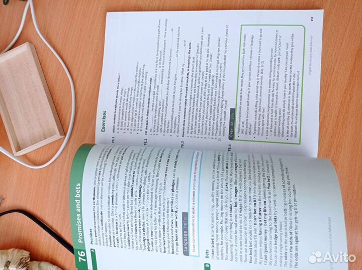 English vocabulary in use advanced