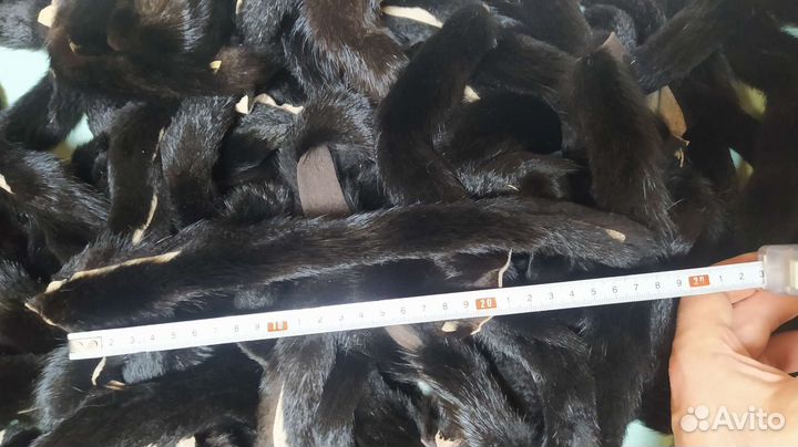 Хвосты норки крупные