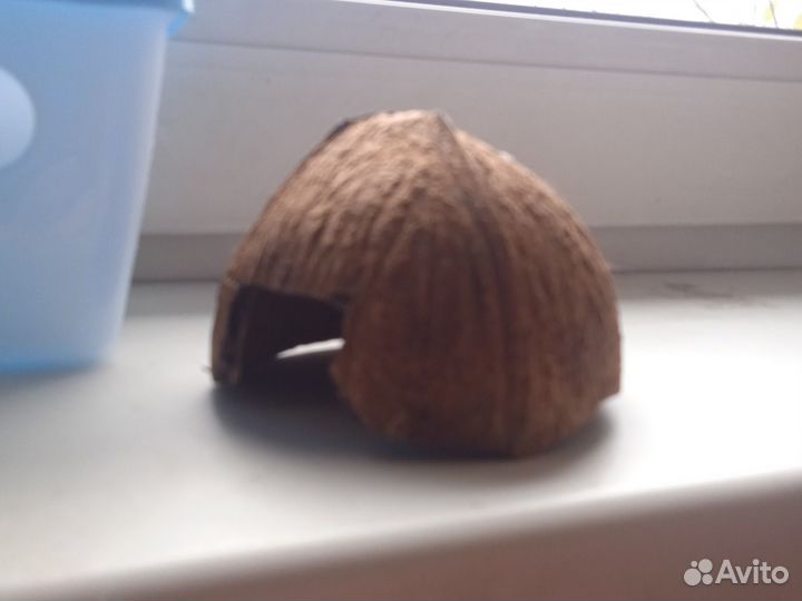 Колесо для хомяка, домик и кокос