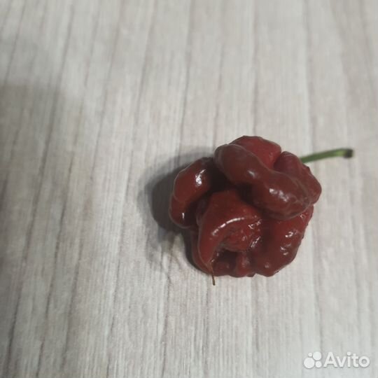 Семена carolina reaper (каролины рипер)