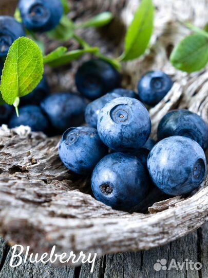 Фасовщик/ца Голубики Вахта Москва+проживание