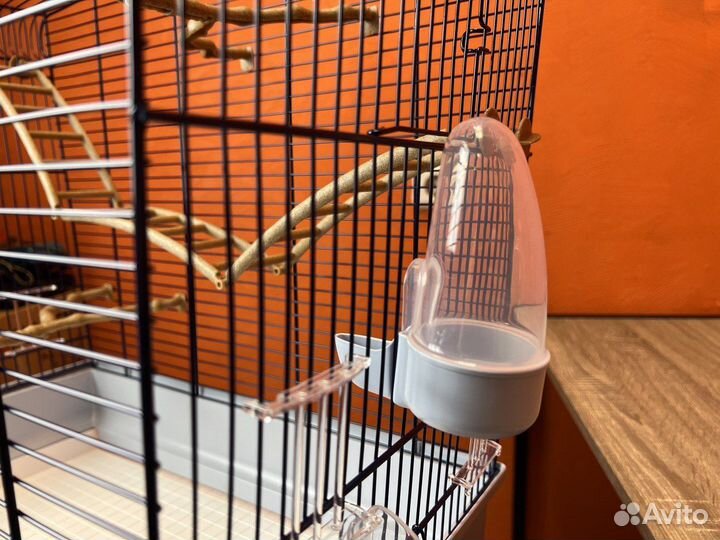 Клетки для птиц