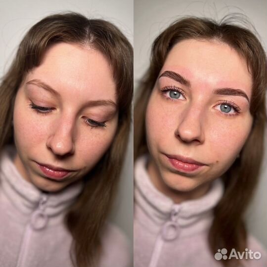 Бровист
