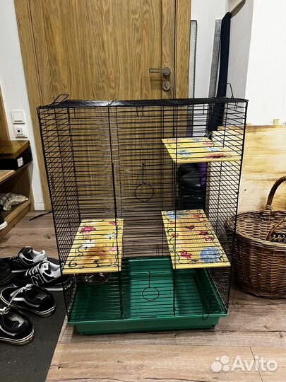 Клетка для грызунов бесплатно