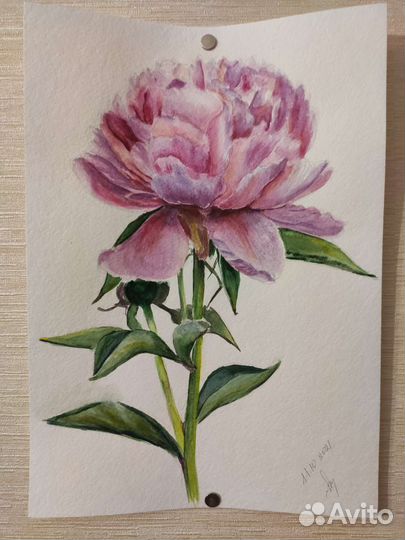 Картины акварельные