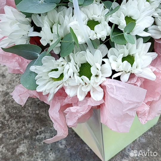 Цветы в плайм-пакете 222 (вн)