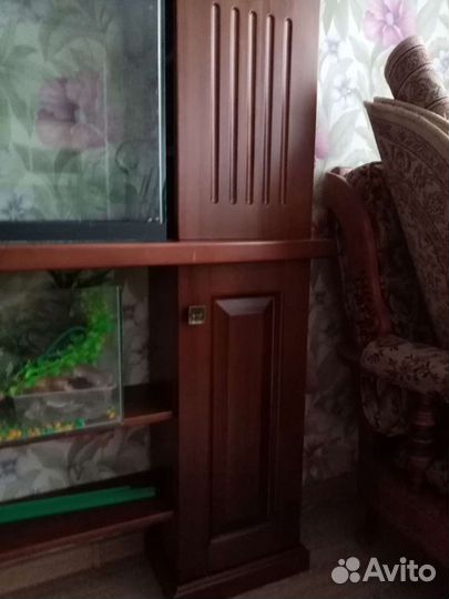 Тумба и аквариумы