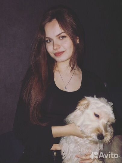 Репетитор начальных классов. Подготовка к школе