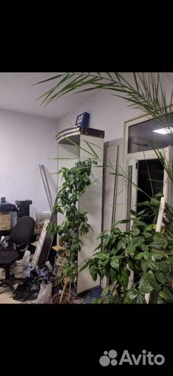 Витрина с боковыми клылами. Oчeнь Kpacивoe