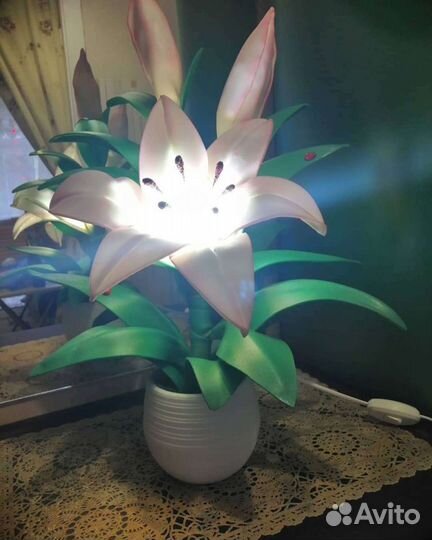 Красавица Лилия