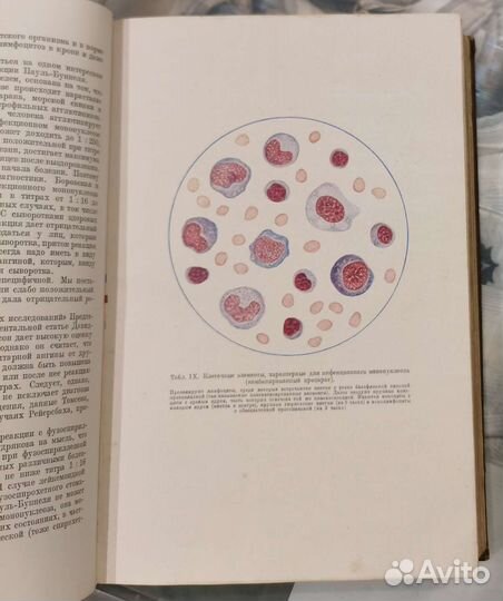 Книга 1948 г. Болезни крови и кроветворной системы