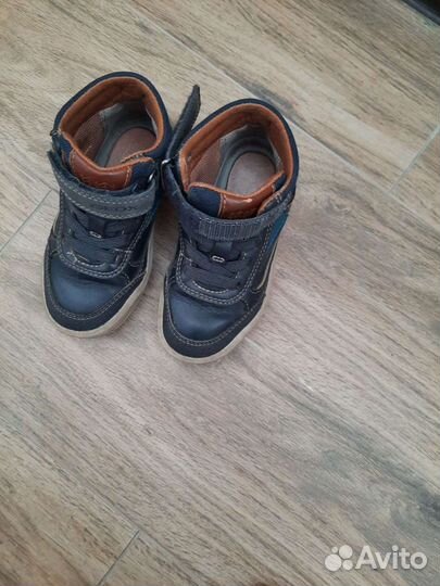 Ботинки geox 24