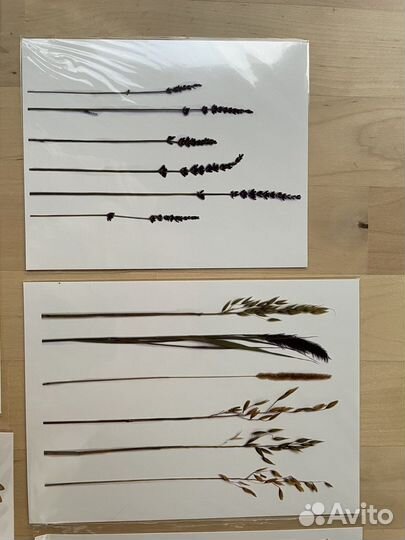 Переводные татуировки