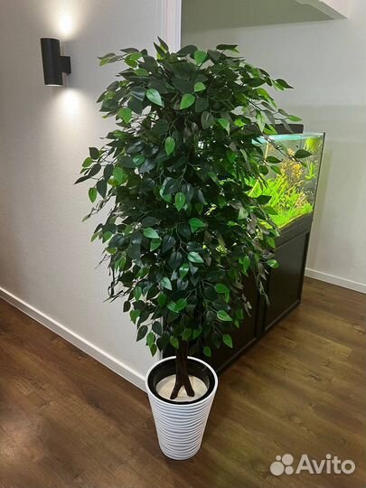 Искусственные деревья / фитокартина Оренбург