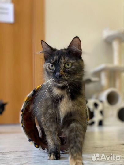 Умирала в подъезде