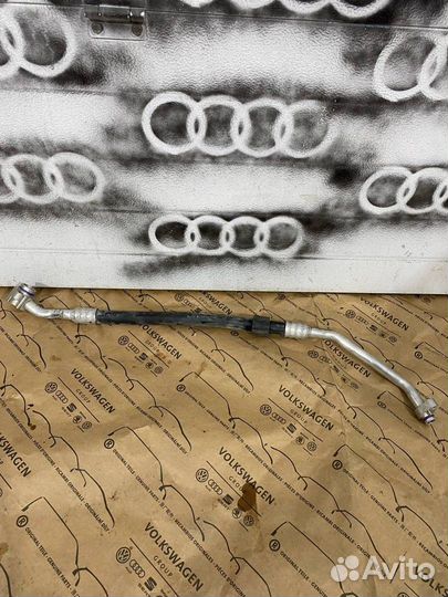 Патрубок охлаждения Audi S5 F5 2020 8W0816743AR