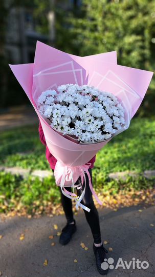 Букет гигант из ромашек (хризантемы)