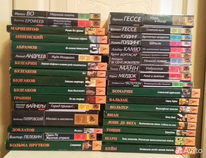 Русская и зарубежная классическая литература