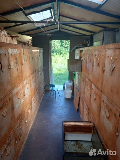 Пасека Пчелоприцеп