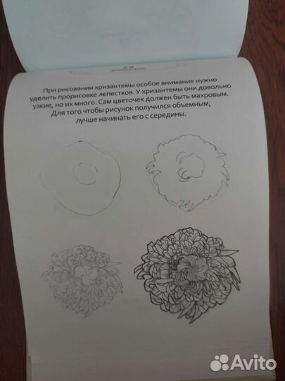 Рисуем на коленке