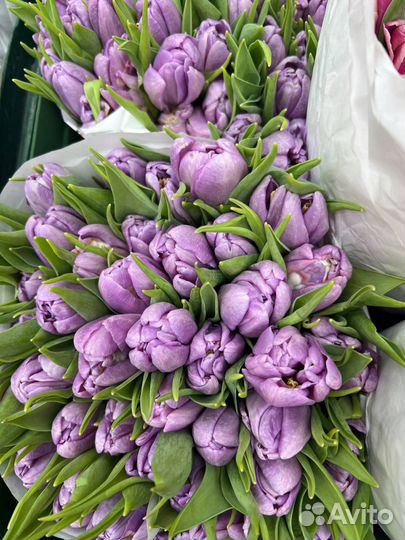 Тюльпаны опом и в розницу