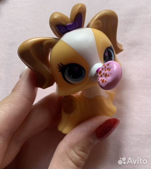 Littlest pet shop